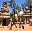 tour to mahabalipuram