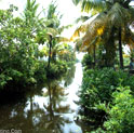 cochin tour, kerala tour, kerala india tour, cochin india tour