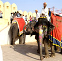 elephant ride in jaipur, holidays in jaipur