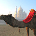 Tajmahal tour, Agra Tour, Golden triangle india tour