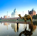 Tajmahal Tour, Agra tour, golden triangle and agra tour