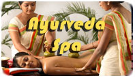 Ayurveda Spa in india