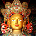 Buddha tour with tajmahal