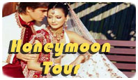 Honeymoon tour package in india