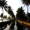 backwater in kerala