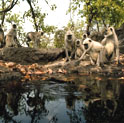 periyar kerala india