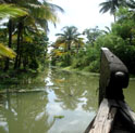 holidays in cochin