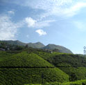 periyar india tour