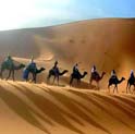 desert tour rajasthan, camel safari india