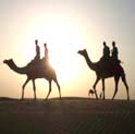 Camel safari in rajasthan, camel safari in india